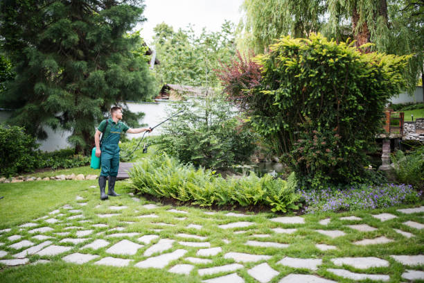 Best Commercial Pest Control Services  in Post Falls, ID