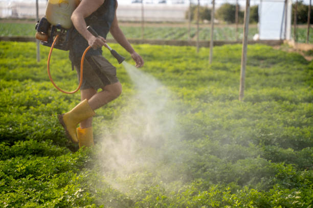 Best Pest Control Near Me  in Post Falls, ID
