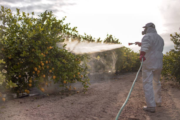 Best Mosquito Control Services  in Post Falls, ID