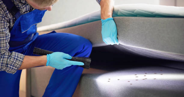 Trusted Post Falls, ID Pest Control Experts