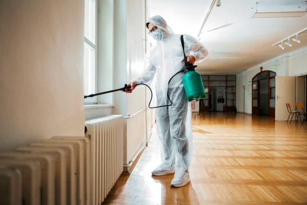 Best Termite Control Services  in Post Falls, ID