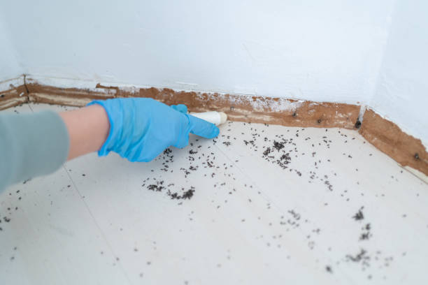  Post Falls, ID Pest Control Pros