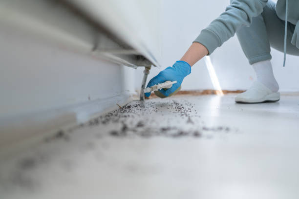 Best Commercial Pest Control Services  in Post Falls, ID